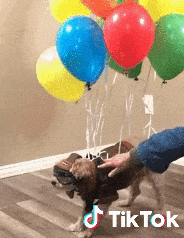 Digital marketing GIF 9 by WeBeeSocial